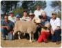 Hofmeyr keeps on coming back for more