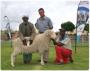 Andries knows his Merino's