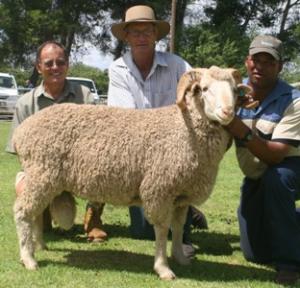 SA record turnover 5 times in a row