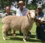 SA record turnover 5 times in a row