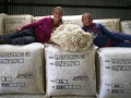 Woolpack prices tumble picture