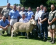 New record price for ram picture